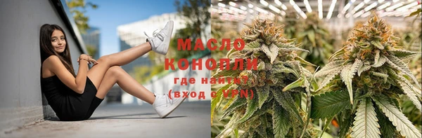 шишки Сатка