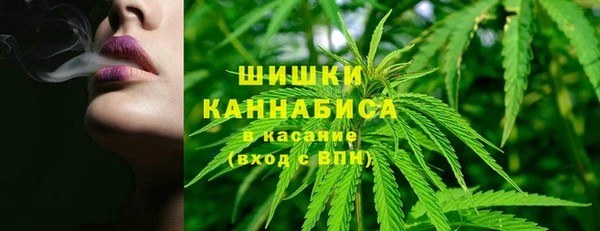 эйфоретик Баксан