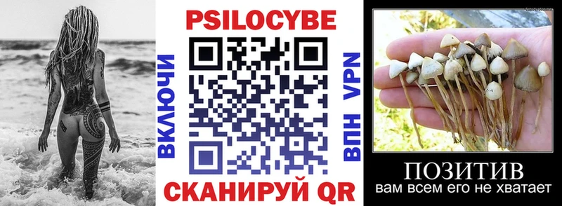 ОМГ ОМГ ТОР  Нижняя Тура  Псилоцибиновые грибы мицелий  купить наркоту 